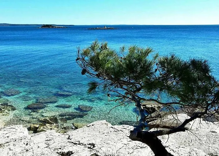 빌라 Maria Tereza Žminj